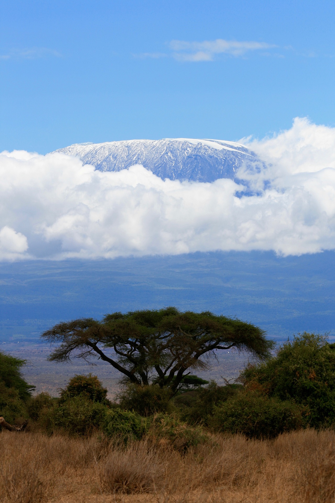 非洲第一高峰乞力马扎罗,正在消失的赤道雪山