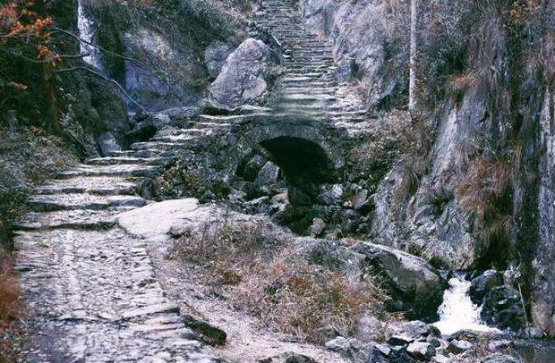 2018年终回馈121秋徒绍兴雪窦岭古道寻觅幽幽深谷惊艳水杉群会员特价