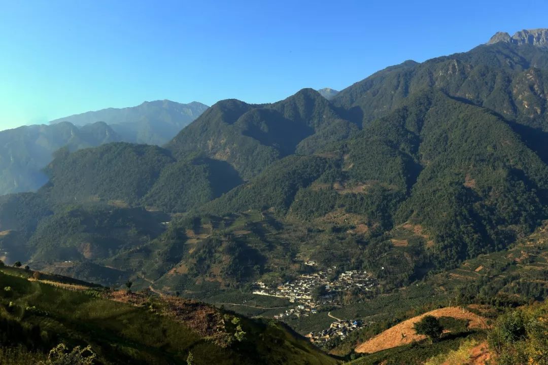 12月7日保山百花岭首届橘子文化旅游节