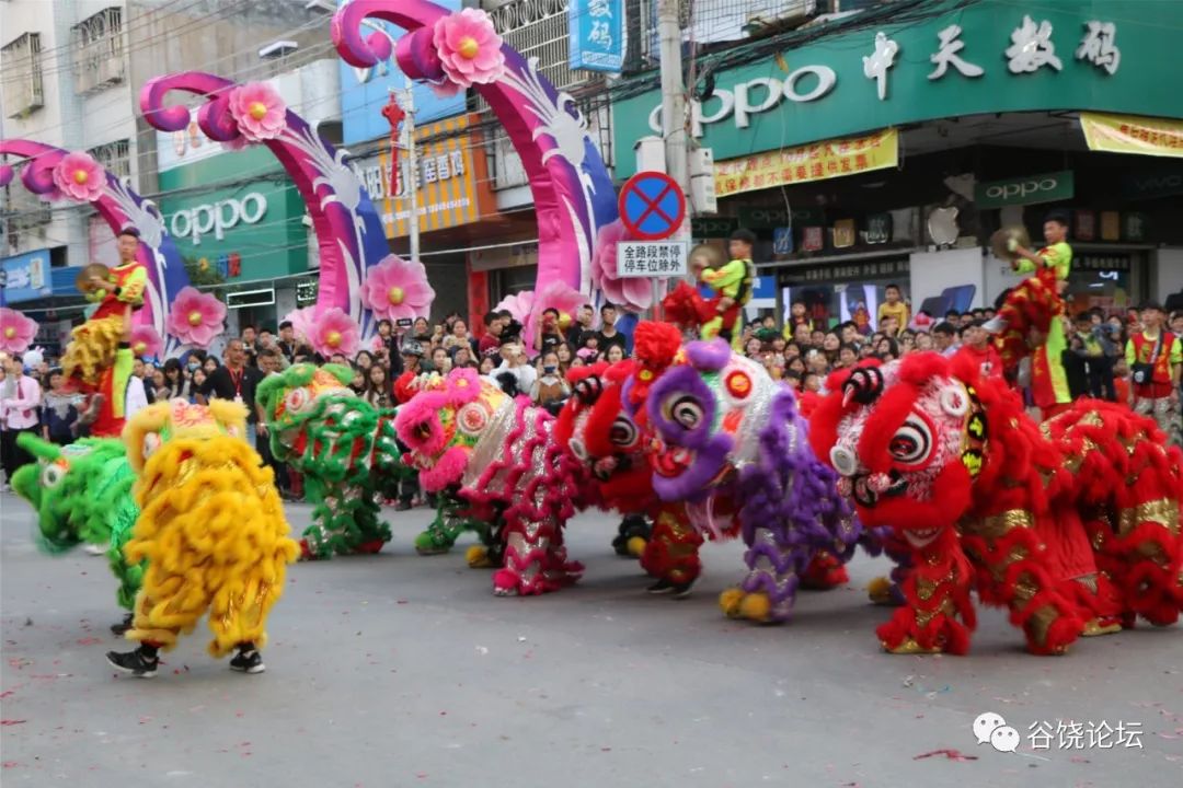 谷饶镇谷贵路图片