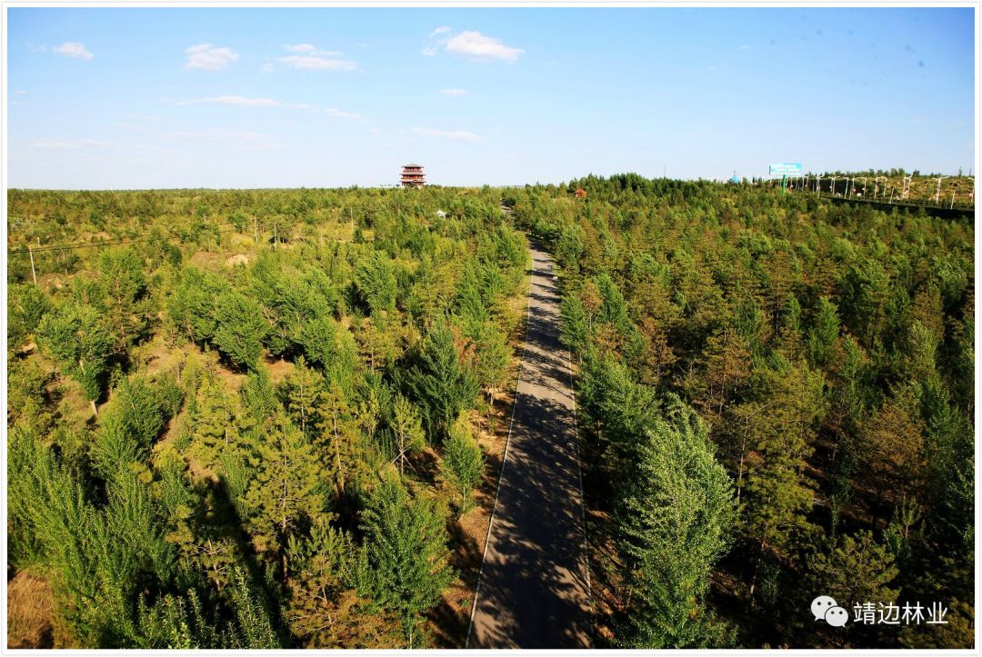 靖边县就开始了义务植树,植树地点就选在了如今的五台森林公园,这比