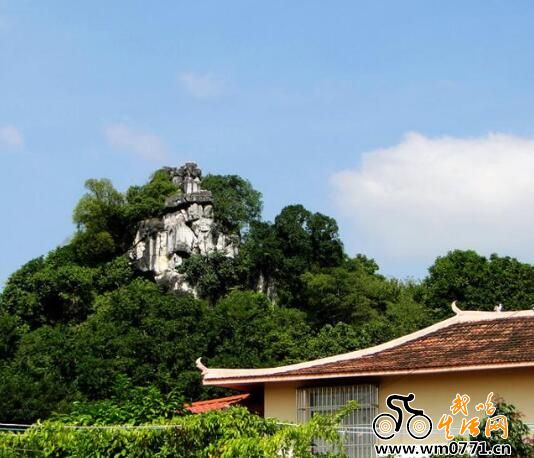 起凤山,又名凤凰山,位于武鸣县城东郊5公里处的夏黄村