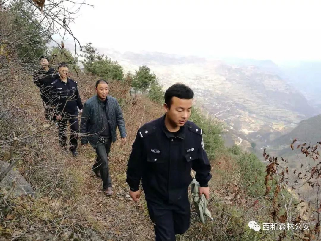 西和县刘宝宝个人资料图片