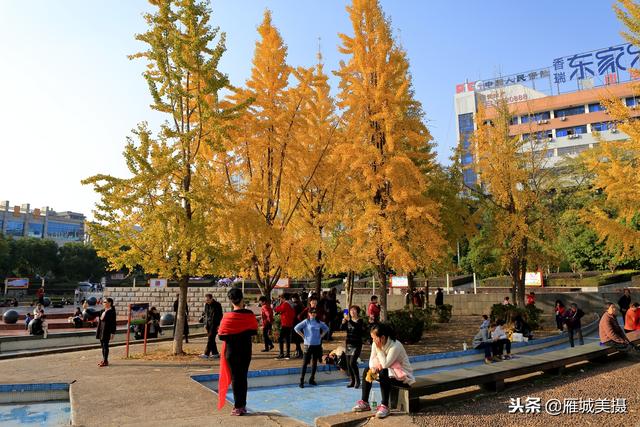 衡阳岳屏广场图片