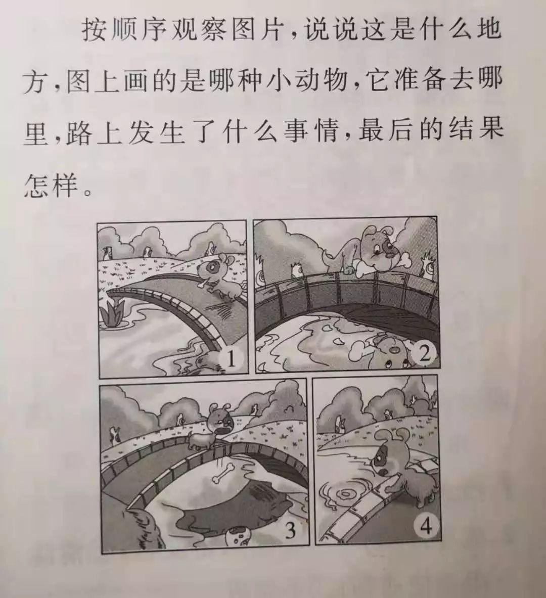 可爱的小狗看图写话图片