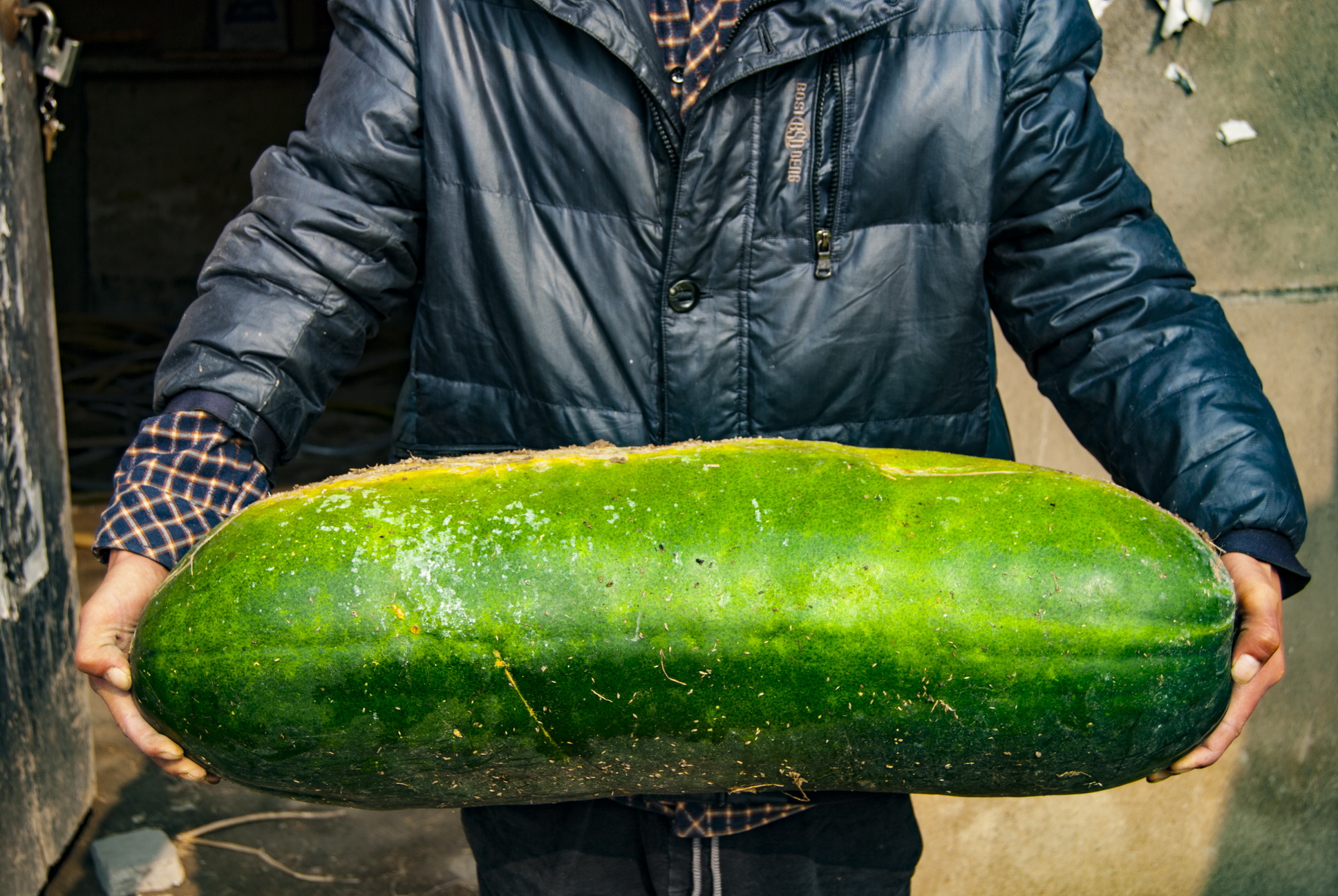 收获今年的蔬菜,最大的冬瓜40多斤,还有一个瓜20多斤,你认识吗