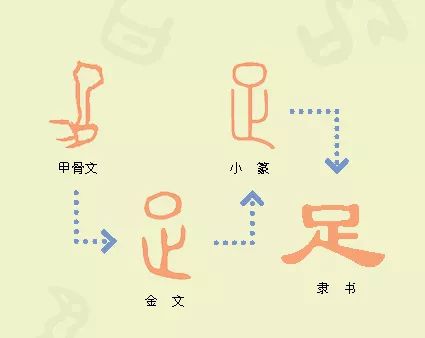 足字旁的字甲骨文图片