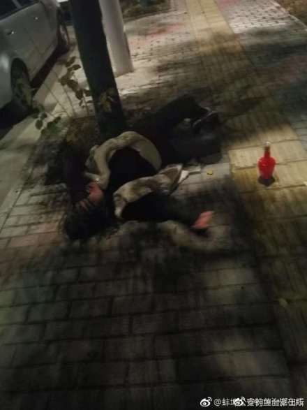 蚌埠一女子因感情问题深夜买醉,睡在路边还摆着一瓶白酒