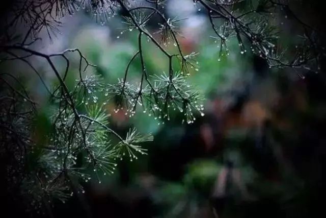 王維詩味長如飲中國茶,清淡而優美,無人我是非,無喜怒哀樂.