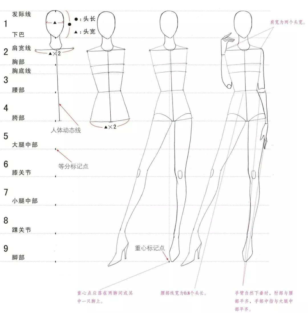 2人體動態基本都是按九頭身來畫.用鉛筆在畫面上輕輕點出9個等分