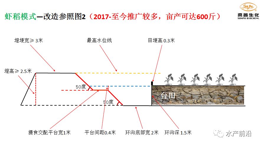 精养龙虾塘设计图图片