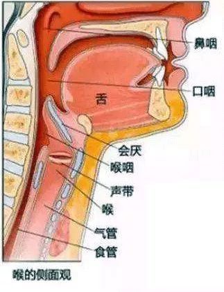男子喉咙肿痛不当回事,结果几小时后去杭州路上不治身亡!