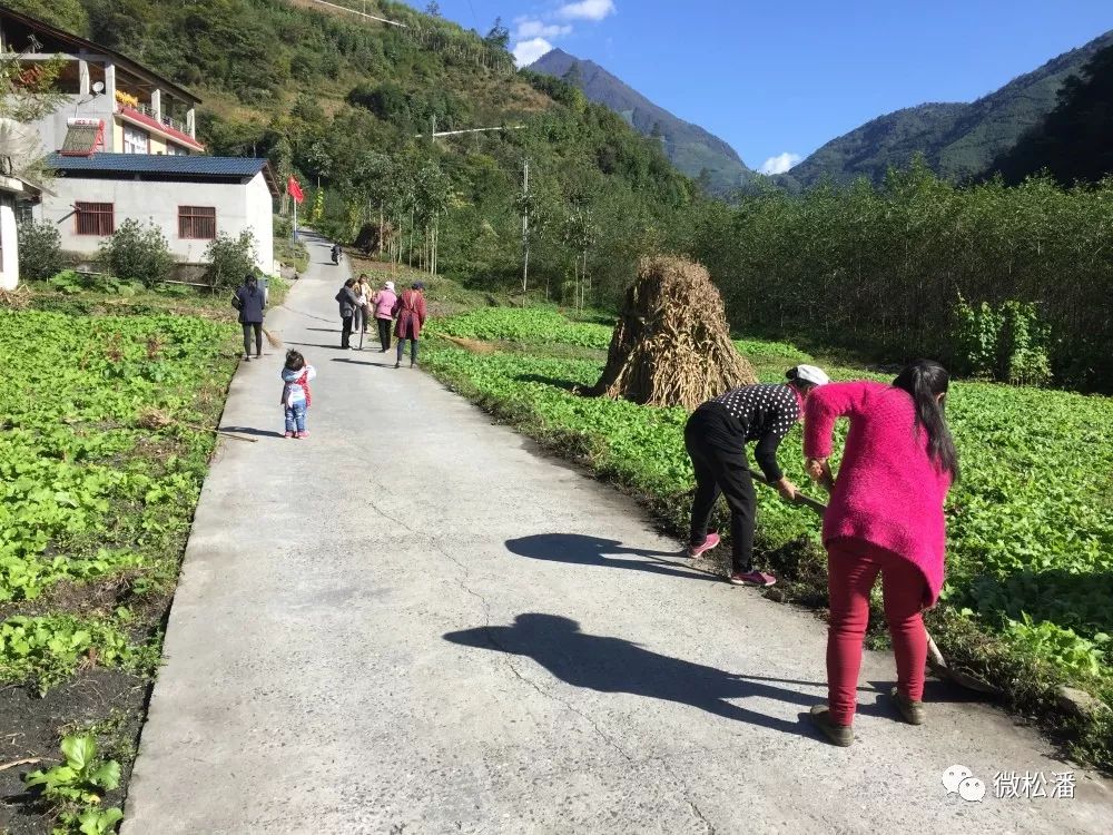 提示 青山,绿水,蓝天,白云相互映衬,走在白羊乡平坝村干净整洁的道路