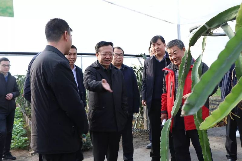 我区党政代表团赴渭南市华州区考察无公害蔬菜产业发展 城市建设管理