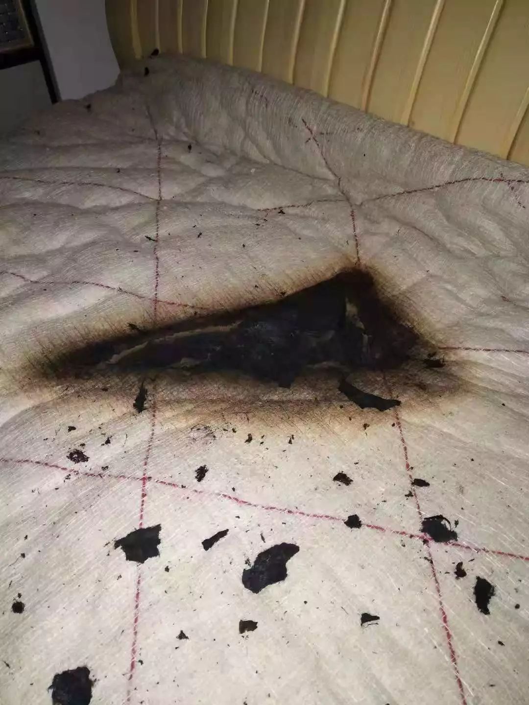 电热毯起火事件图片