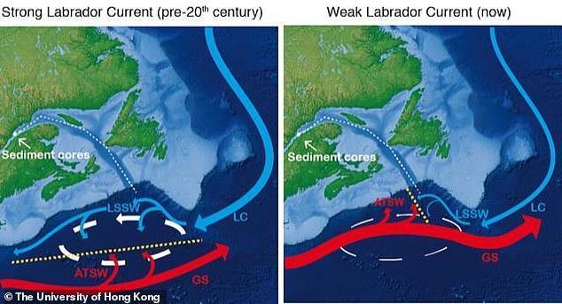 研究警告北大西洋的海洋環流1500年來最弱或引發小冰河時代