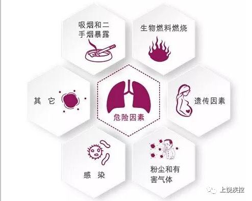 慢阻肺危险因素图片