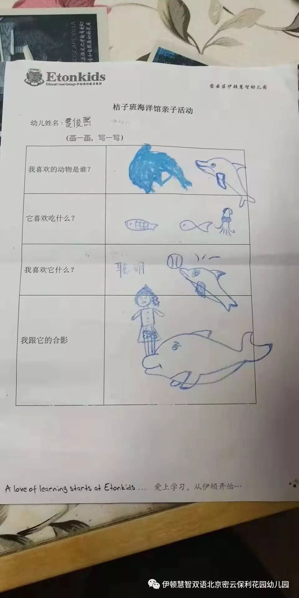 海洋生物调查表图片