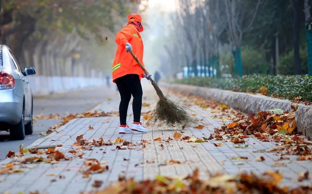 打扫街道的图片背影图片