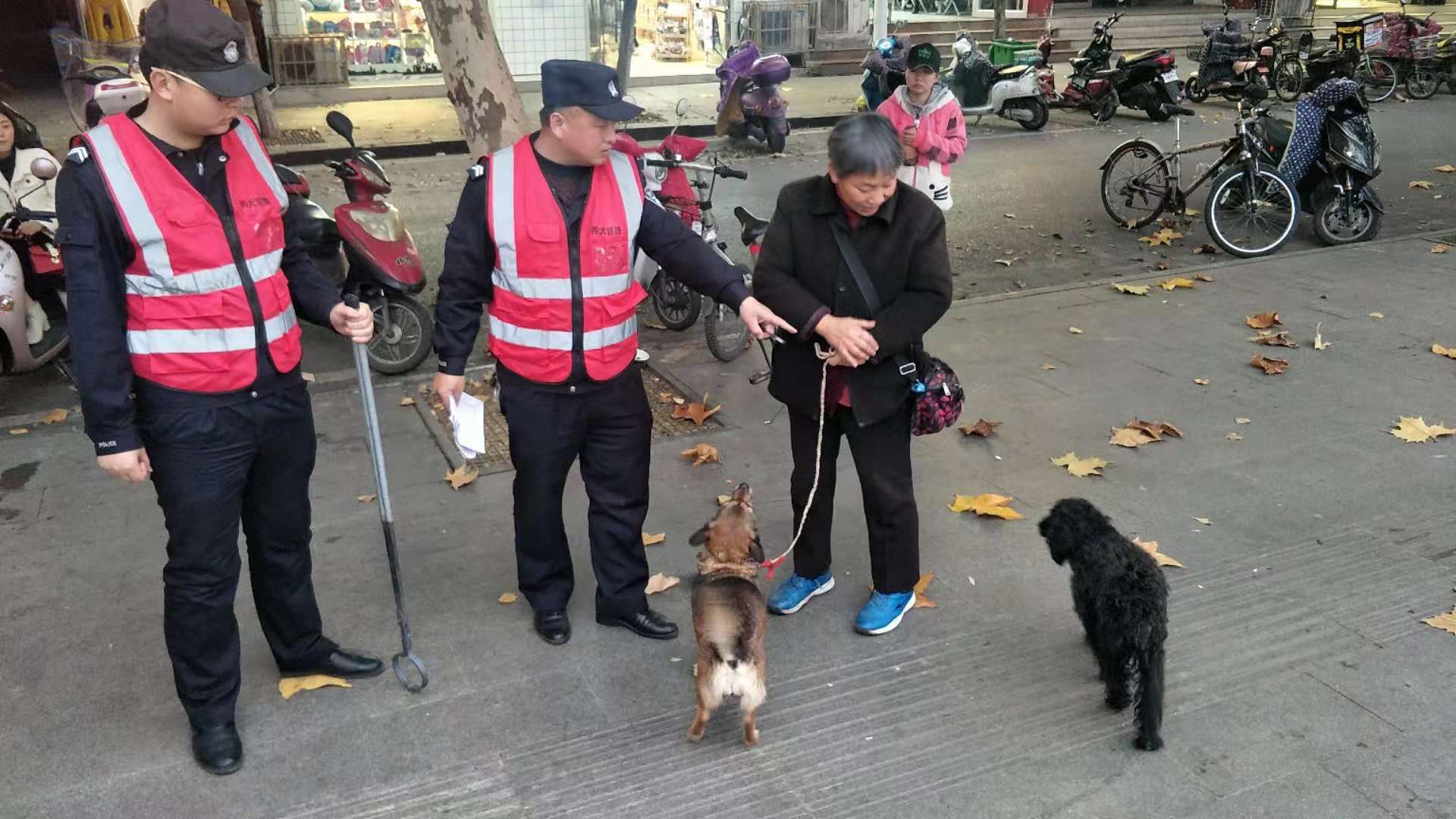 倡导规范养犬 丹江口警方抓捕击毙多只伤人流浪犬