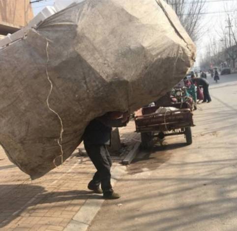 负重前行的图片 背影图片