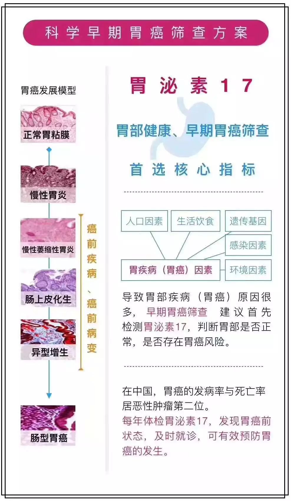 胃泌素17偏高说明什么图片