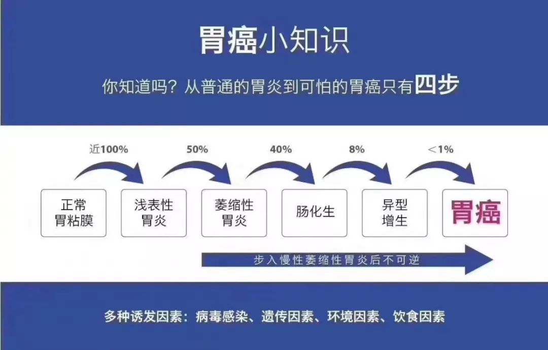 胃泌素17胃健康而來