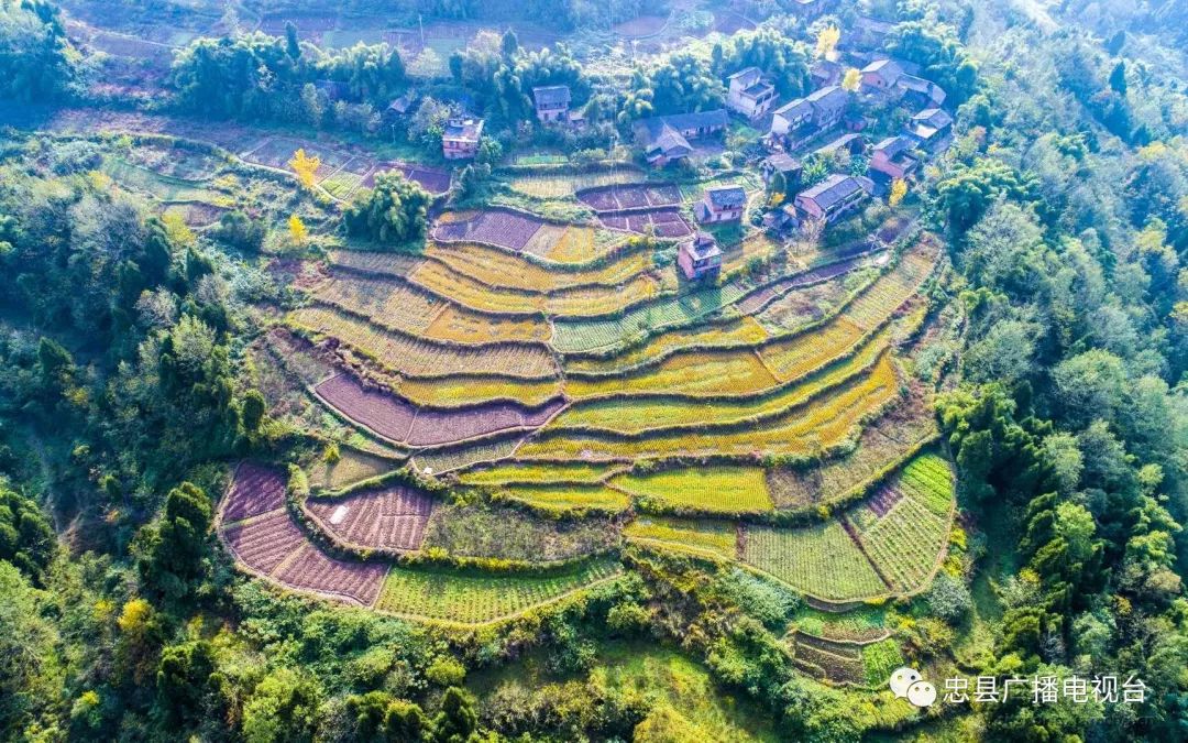 雙星村:叢林中的田園村莊_拔山鎮