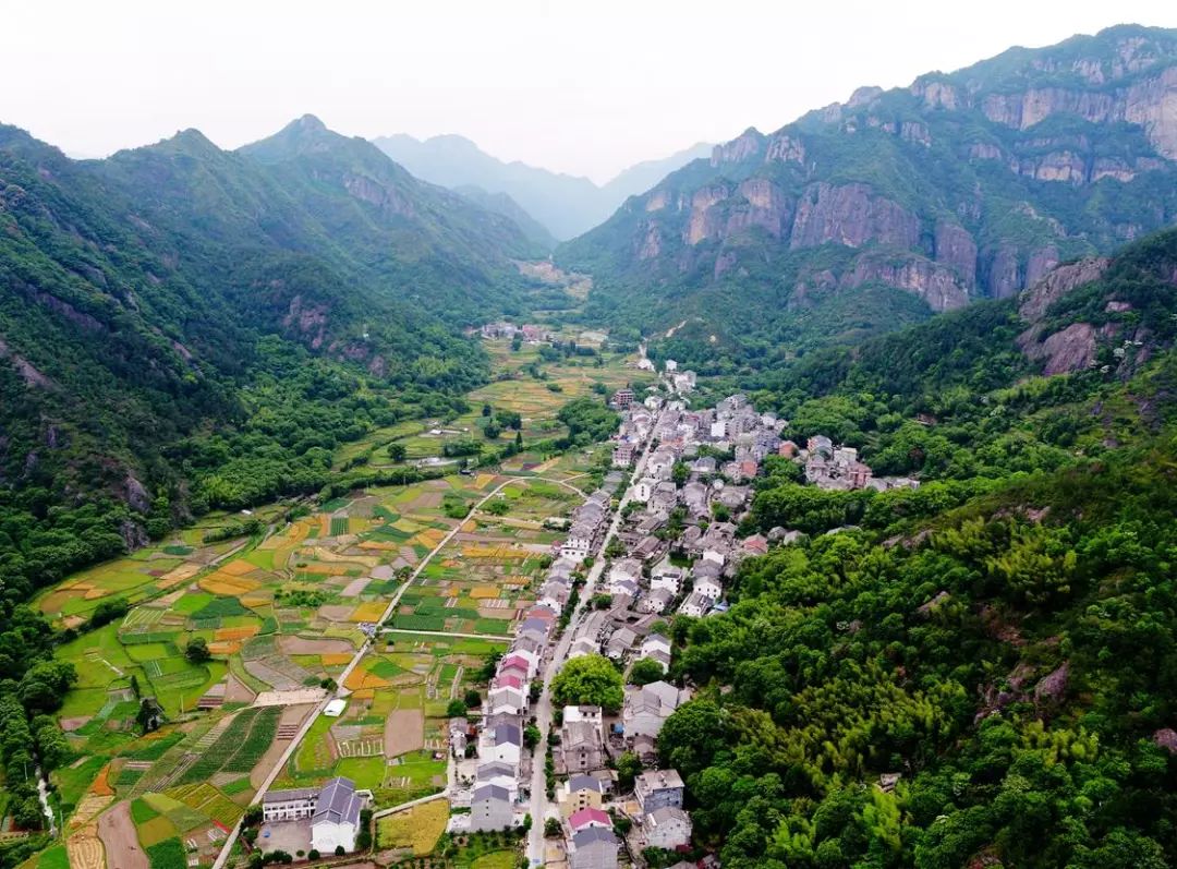 浙江經視《花開農村路》| 溫州永嘉:九黃線——花開時節 相約九黃