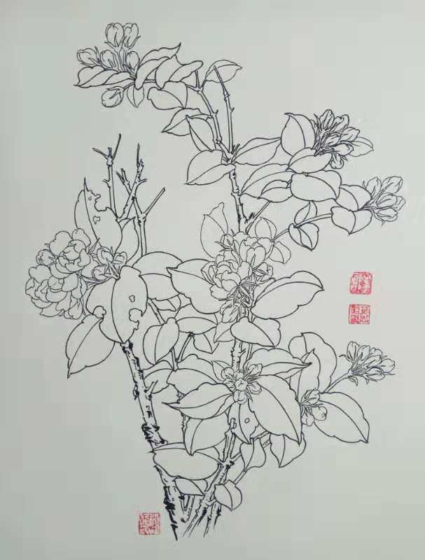 第七百六十七幅——茉莉花(中性笔白描花卉习作)27,王朝荣的钢笔画28