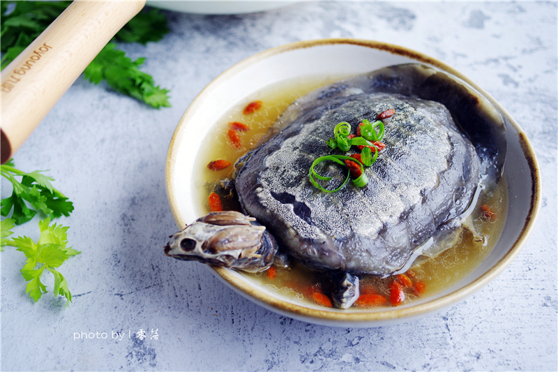 滋補甲魚湯——冬天常喝這種湯,湯鮮味美,幫你驅寒保暖,養出好身體