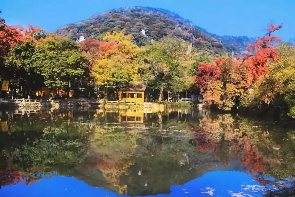 【12月1日】 蘇州天平山賞楓,石湖,山塘街二日遊 已成團