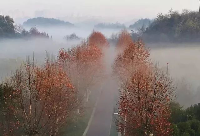 朋友圈攝影高手全市所有路段能見度下降沒錯,今早貴陽遭遇了大霧還是