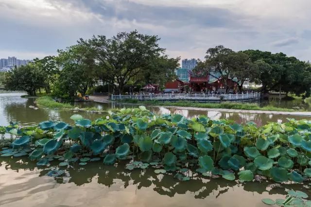 公園改變城市漳州碧湖市民生態公園奧雅精品公建