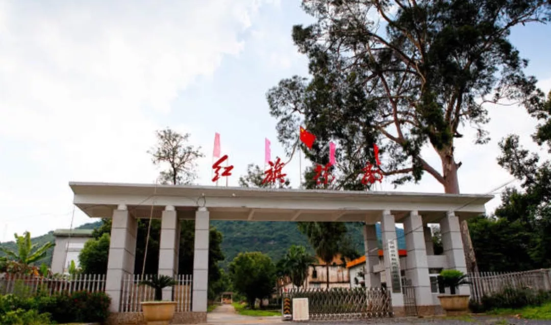 紅旗茶廠座落於廣東省英德市英紅鎮秀才水庫旁,位於英德市廣東英德