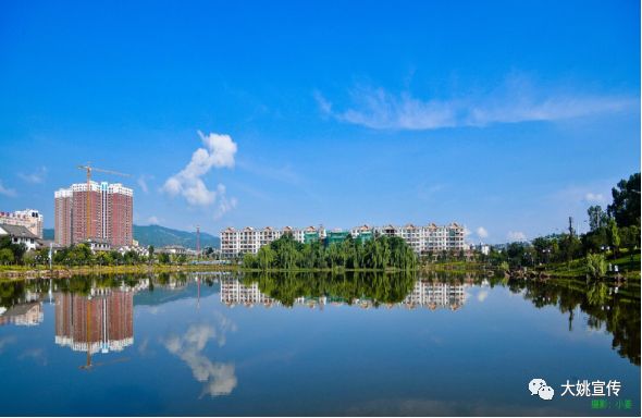 大姚网站建设_(丽江市网站建设制作)