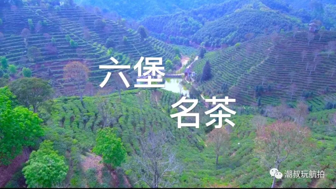 《航拍广西》苍梧县六堡镇六堡茶原产地