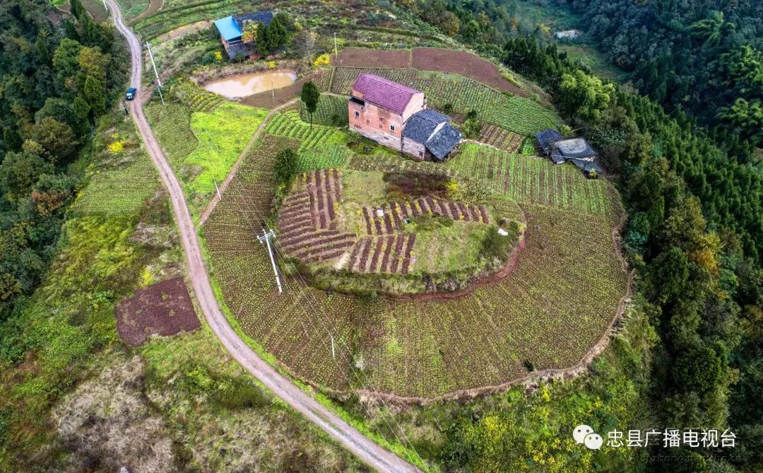 双星村:丛林中的田园村庄_拔山镇