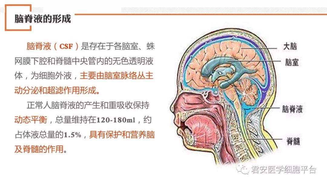 重磅干货脑脊液标本检验技术与病例分析