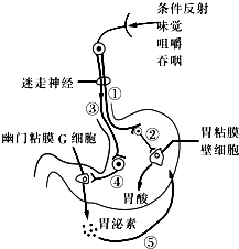 胃酸是一种无色透明的酸性液体,其ph值为09