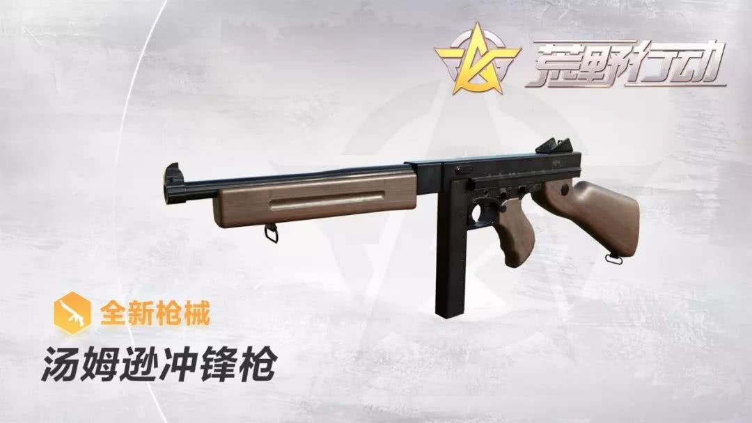 mp5k冲锋枪 汤姆逊图片