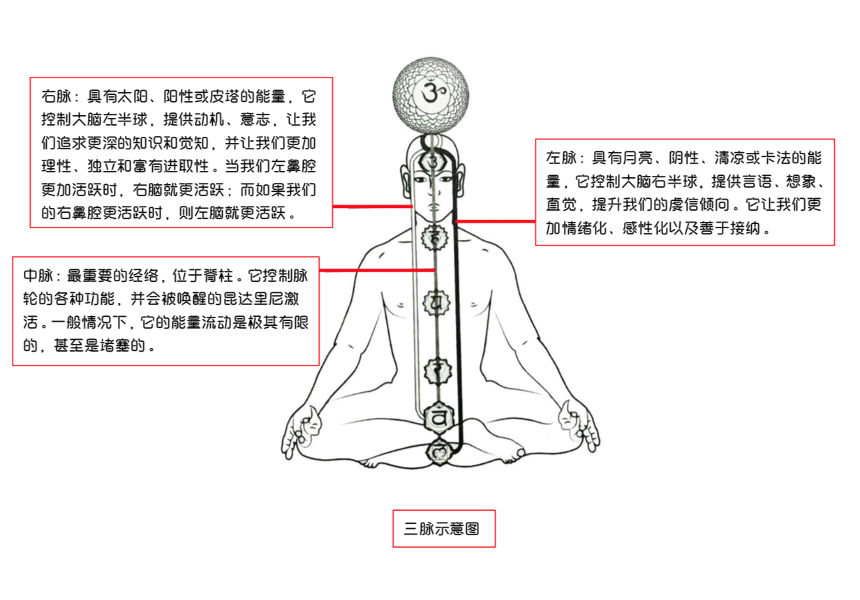 中脉:身体中心或脊柱的位置,连结七个脉轮,是负责整合身心灵的中央