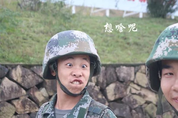 荐读哈哈哈独霸了这波兵哥哥独属表情包