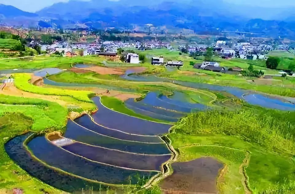 常理鎮海龍村,射洪縣沱牌鎮青崗村,青堤鄉青龍村,蓬溪縣天福鎮獅山村