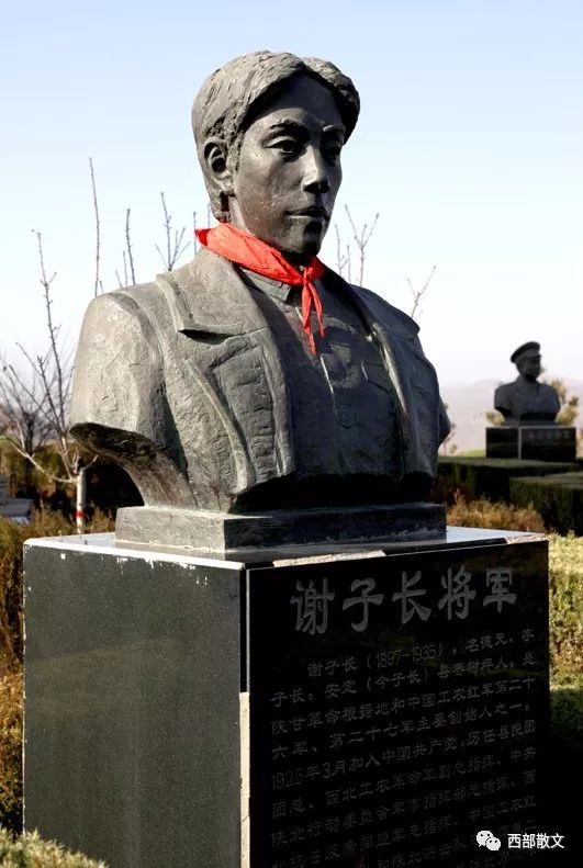 谢子长将军传图片