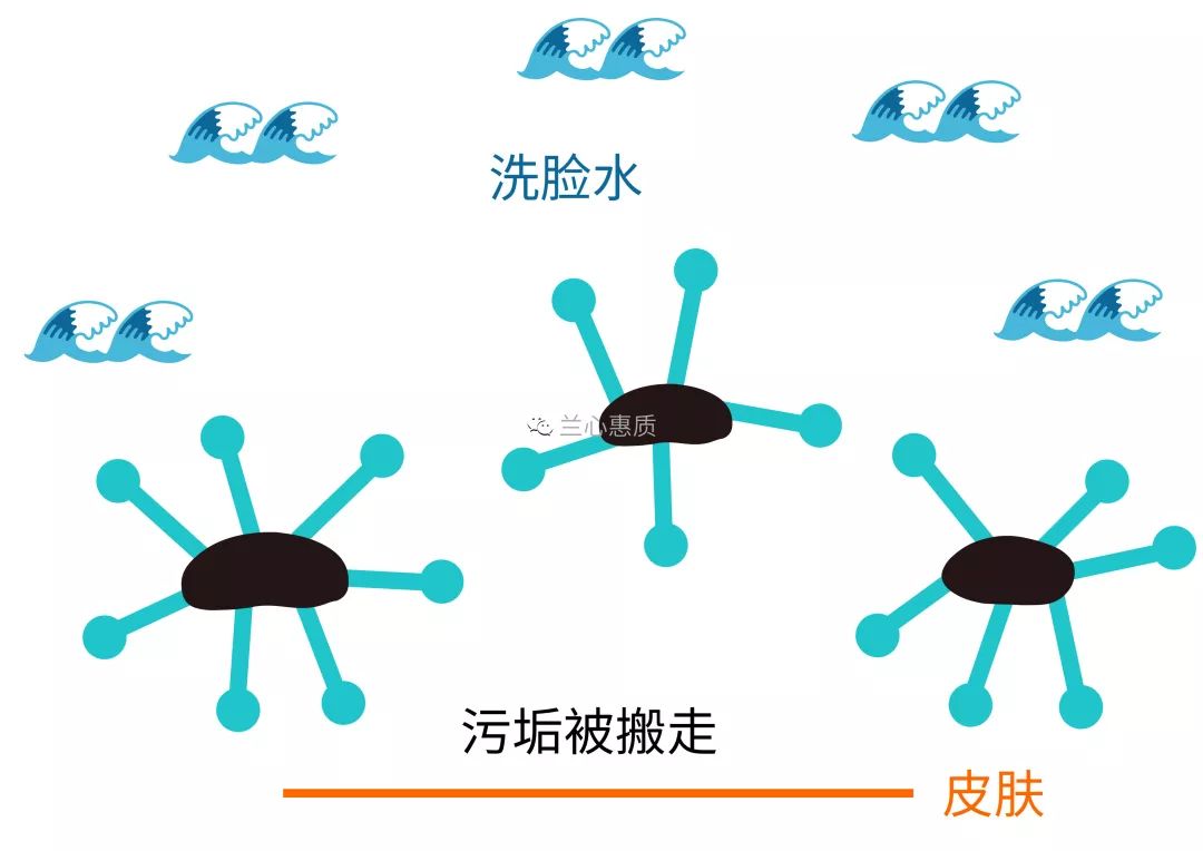 油包水水包油示意图图片