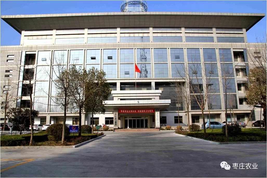枣庄市政府大楼图片图片