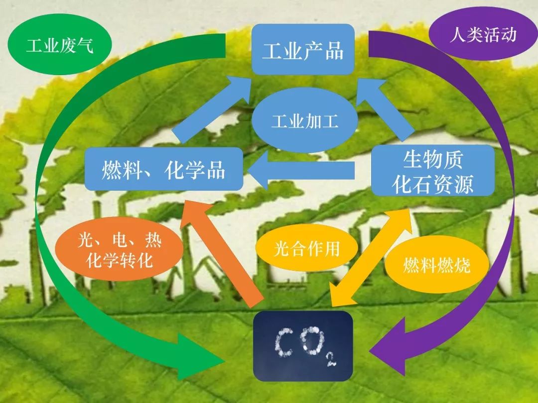 道法自然,变废为宝——《二氧化碳化学转化》