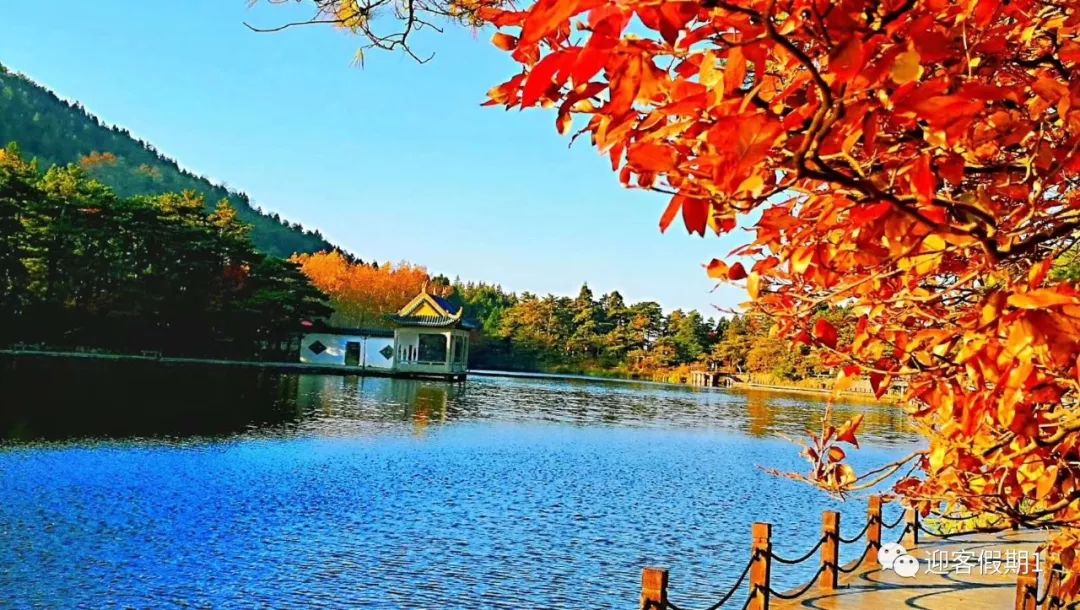 早乘遊覽廬山花開山寺,詠留詩人的【花徑公園】,【白居易草堂】,【如