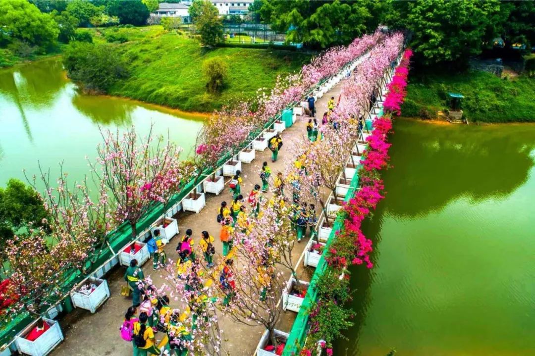 坐落於國家aaaaa級觀瀾湖旅遊度假區,觀瀾湖生態體育園這裡是超越夢想